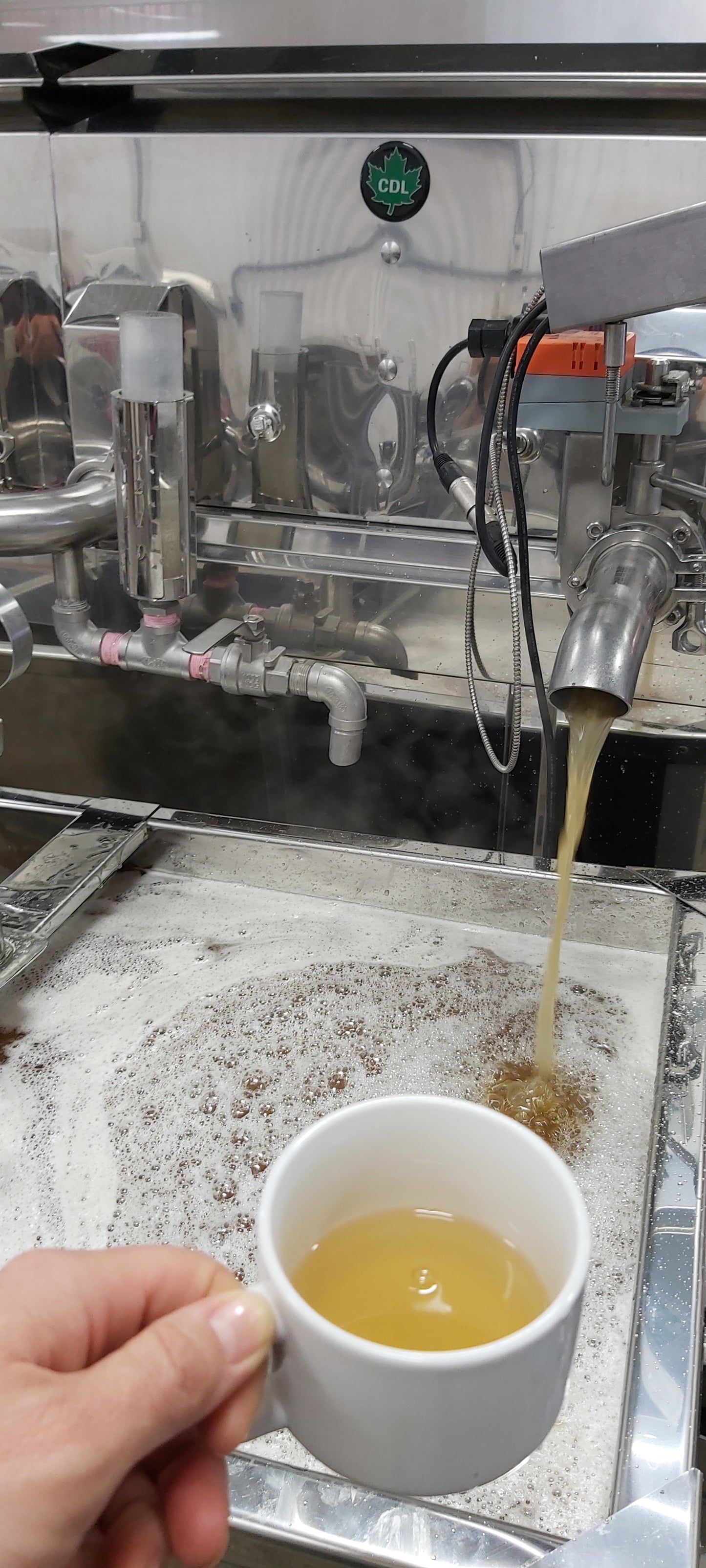 Brunch à la Cabane 🥞